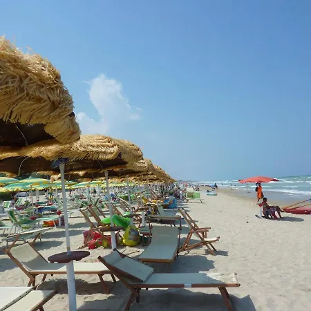 Marine L2 Silvi 실비마리나